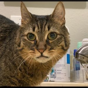 Meet your Posher, Jorge